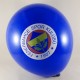 Fenerbahçe Taraftar Logolu Renkli 12 li Balon Seti