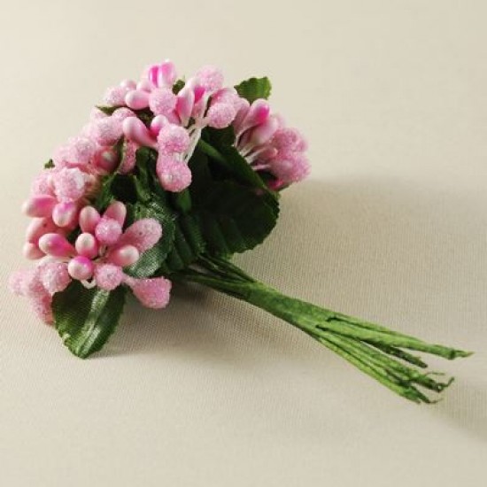 Tomurcuk Cipso Telli Pembe 1 Bağ
