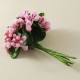 Tomurcuk Cipso Telli Pembe 1 Bağ