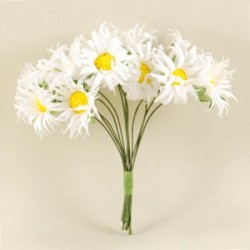 Beyaz Papatya Kumaş 10 Adet