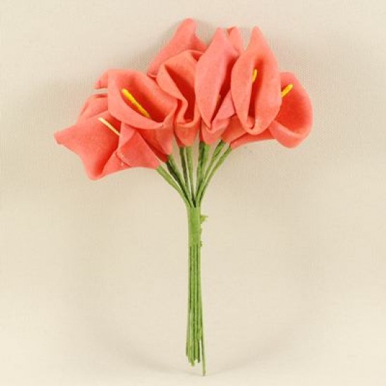 Gala Çiçeği Kırmızı Lateks Büyük Boy 10 Adet