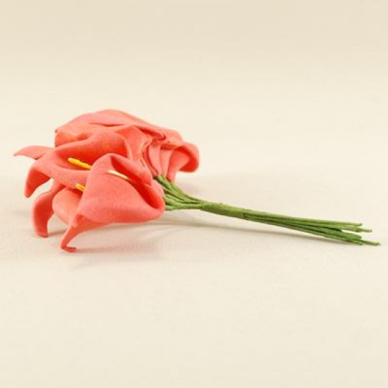 Gala Çiçeği Kırmızı Lateks Büyük Boy 10 Adet