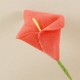 Gala Çiçeği Kırmızı Lateks Büyük Boy 10 Adet