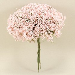 Top Cipso Telli Pembe Lateks 10 Adet