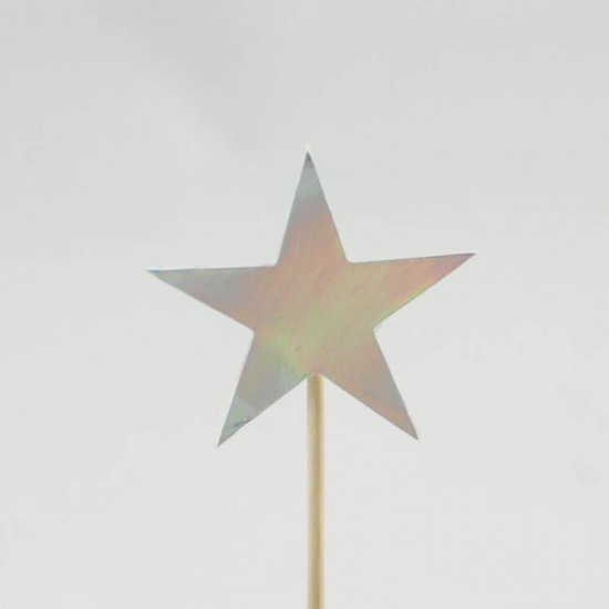 Gümüş Yıldız Metalize Kürdan Seti 15 Adet