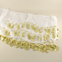 Shakira Kemeri Beyaz Tül Ve Pullu