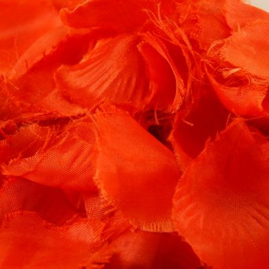 Gül Yaprakları Konfeti