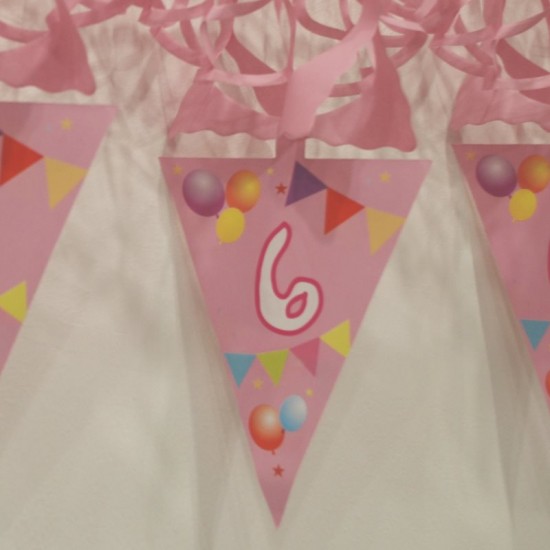 6 Rakamlı Pembe Balonlu Uzar Kapı Ve Tavan Parti Süsü