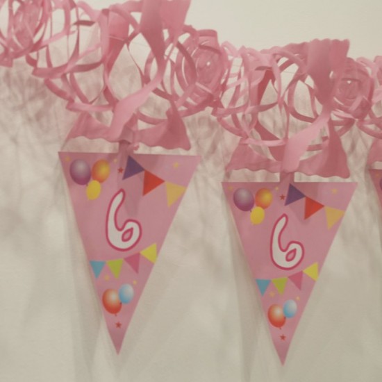 6 Rakamlı Pembe Balonlu Uzar Kapı Ve Tavan Parti Süsü