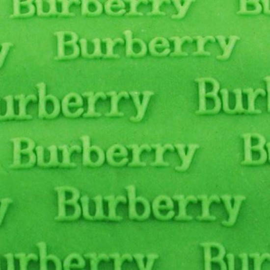 Burberry Yazı Desenli Akrilik Kalem Merdane 21 Cm