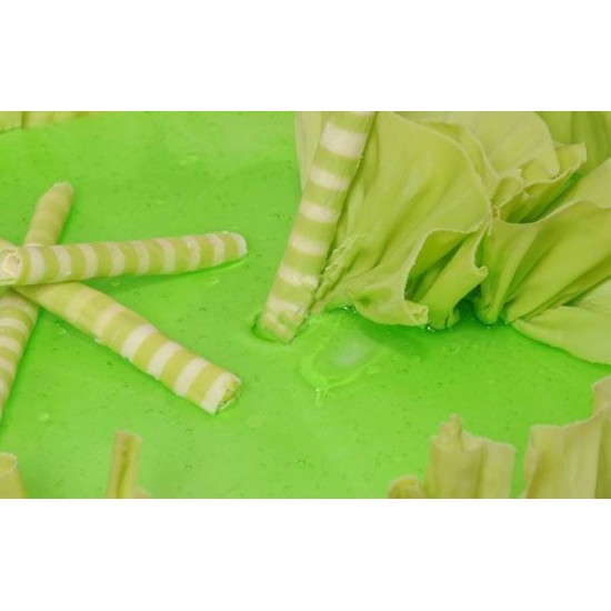 Fo Kivi Aromalı Dekoratif Pasta Jeli 1 Kg
