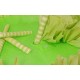 Fo Kivi Aromalı Dekoratif Pasta Jeli 1 Kg