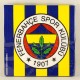 Fenerbahçe Temalı Sarı Lacivert Lisanslı Parti Peçetesi 16 Adet