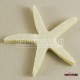 Keçe Krem Rengi Deniz Yıldızı 6 cm X 6 cm 5 Adet