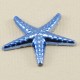Deniz Yıldızı Süs Mavi Renk 3 Cm X 3 Cm 10 Adet