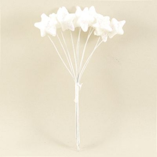 Simli Beyaz Küçük Yıldız Sunum Telleri 10 Adet