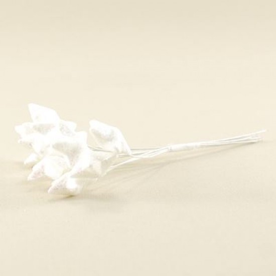 Simli Beyaz Küçük Yıldız Sunum Telleri 10 Adet