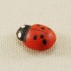 Ahşap Uğur Böceği Kırmızı 8 mm x 11 mm 50 Adet