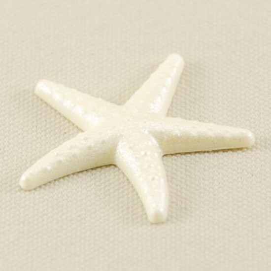Deniz Yıldızı Süs Beyaz Renk 3 Cm X 3 Cm 10 Adet