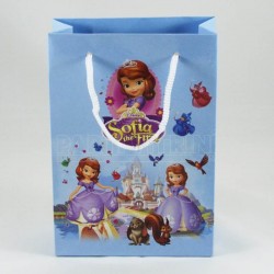 Prenses Sofia Karton Çanta 17X12X5 Cm 10 Adet